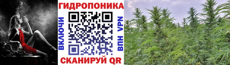 Купить закладку МАРИХУАНА  A PVP  ГАШИШ  ГЕРОИН  Меф мяу мяу  Сафоново