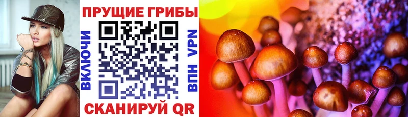 Галлюциногенные грибы Magic Shrooms  Купить  Сафоново 